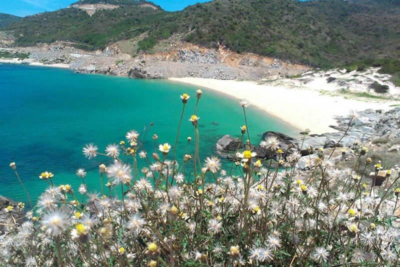 Banana Beach, Hue, Vietnam