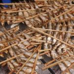Grilled fish - ba be national park