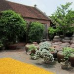 Duong Lam Ancient Village