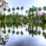 Uncle Ho's fish pond (Uncle Ho's stilt house)